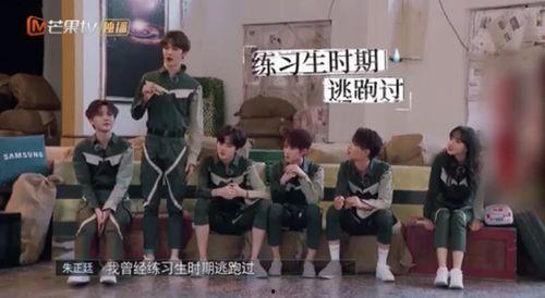 世界趣事爆料视频大全,揭秘世界趣事爆料视频大全  第2张